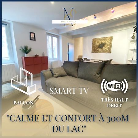Esprit Nomad - Appartement Rue Pietonne Proche Lac Annecy Esterno foto